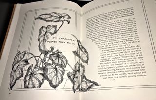 Stop talking to your plants and listen