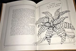 Stop talking to your plants and listen