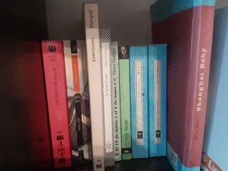 Novelas variadas (II)