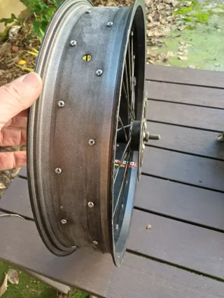 Ruota anteriore bici elettrica con disco