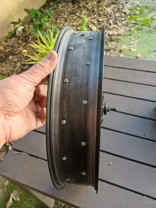 Ruota anteriore bici elettrica con disco