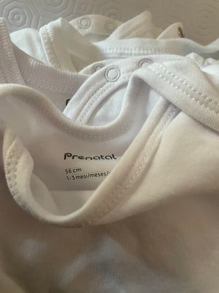 Body bimbi calamaro 18M