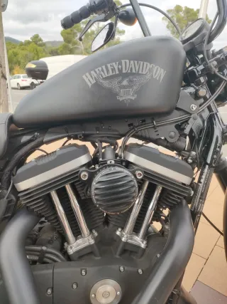 Harley Davidson Iron 883 Negra