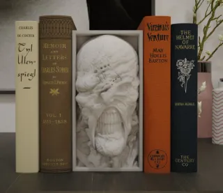 Book Nook Nemesis Resident Evil