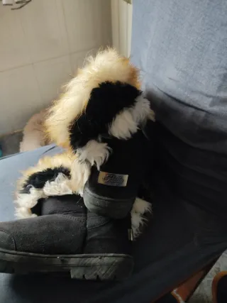 Botas de invierno negras y multicolor