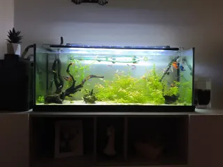 Acuario de 120lfiltro EHIEM experience 350,1050L/H