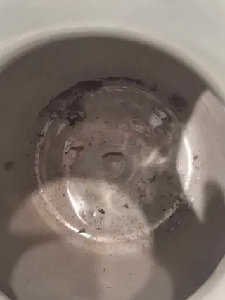 Coppia di vasi cinesi in porcellana