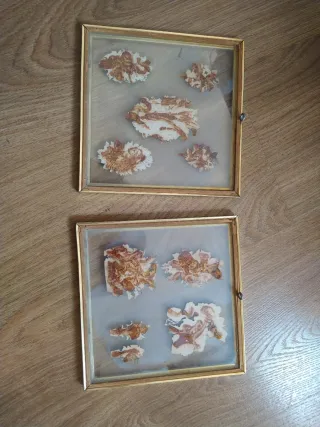 2 Marcos 18x18 cm Dorados Flores