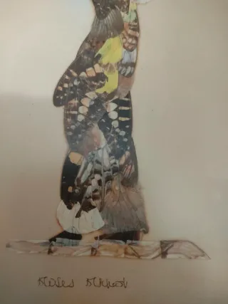 Pareja cuadros alas demariposas años 70