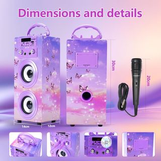 Máquina Karaoke Portátil Dynasonic con Micrófonos