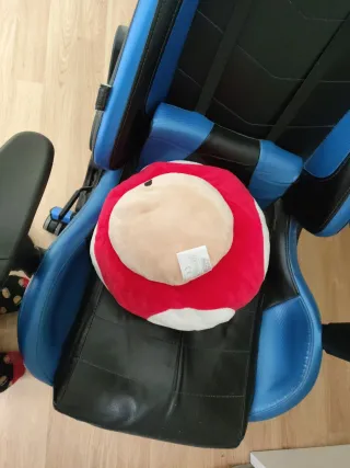 Peluche Seta Super Mario Bros