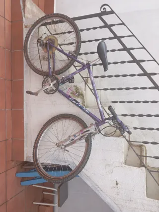 Bicicleta Raleigh Morada