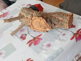 Caga Tió de Tronco Artesanal