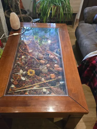 Mesa de centro de madera y cristal