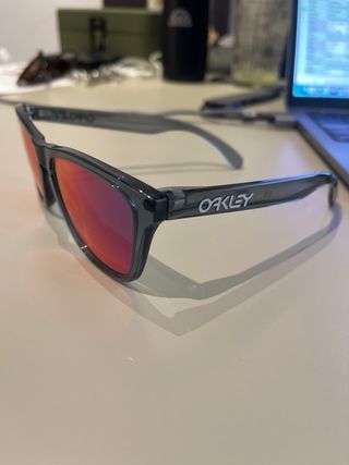 Gafas Oakley Frogskins Grises