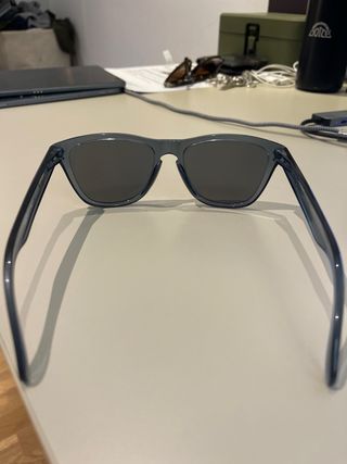 Gafas Oakley Frogskins Grises