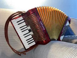 Fisarmonica Hohner Student IV M 48 bassi