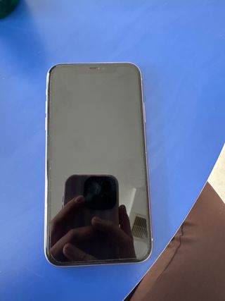 iPhone 11 Viola