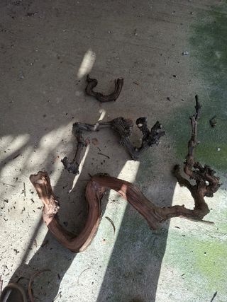 Madera de vid natural para terrarios