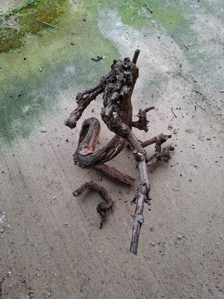 Madera de vid natural para terrarios
