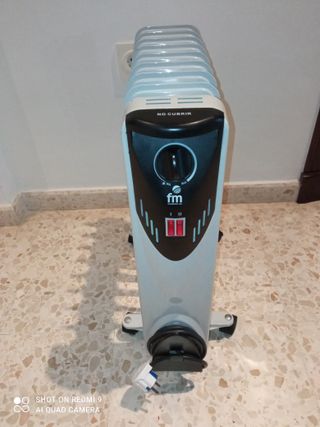 Freidora Moulinex 1L