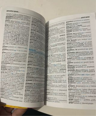 Piccolo dizionario di spagnolo