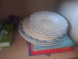 Plato Ovalado Cartuja Azul y Blanco