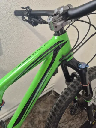 Bici Enduro Specialized