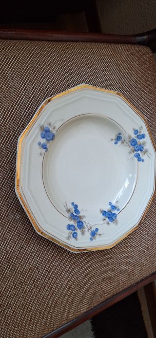 Vajilla Porcelana Vista Alegre Antigua