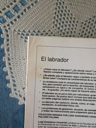El Labrador (Perros de Raza) (Spanish Edition)