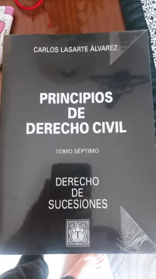 Principios de derecho civil