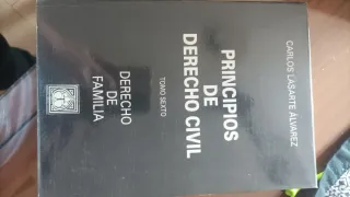 Principios de derecho civil