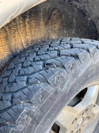 Neumáticos todoterreno