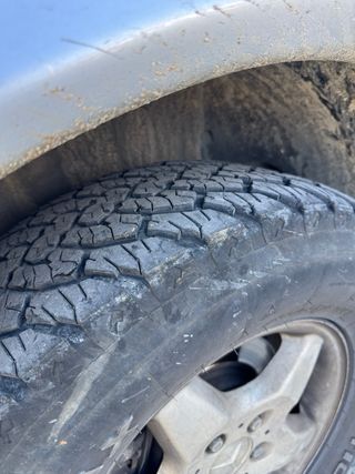 Neumáticos todoterreno