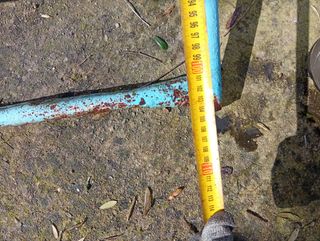 Escalera de piscina de hierro