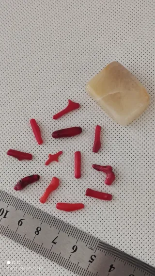 Lote 12 piezas coral rojo y jaspe amarillo.