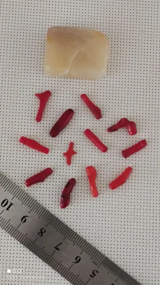 Lote 12 piezas coral rojo y jaspe amarillo.