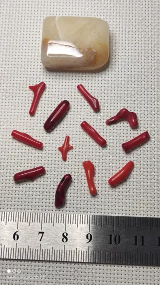 Lote 12 piezas coral rojo y jaspe amarillo.