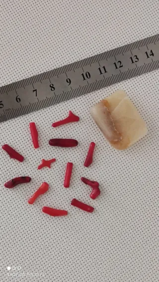 Lote 12 piezas coral rojo y jaspe amarillo.