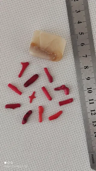 Lote 12 piezas coral rojo y jaspe amarillo.