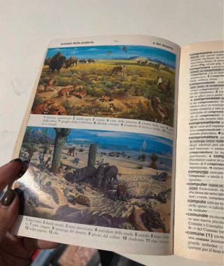 Il primo Zanichelli. Vocabolario elementare di ...