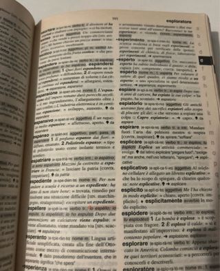 Il primo Zanichelli. Vocabolario elementare di ...
