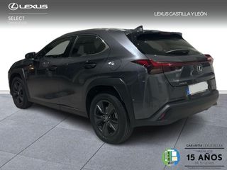 Lexus UX  300h + 4x2