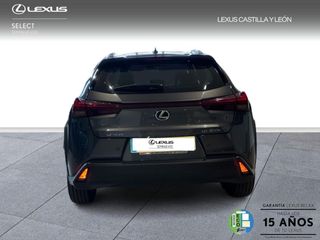 Lexus UX  300h + 4x2