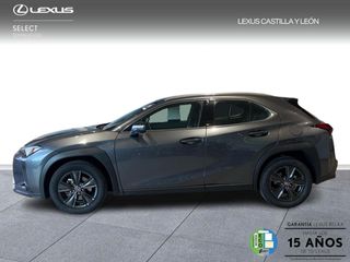 Lexus UX  300h + 4x2