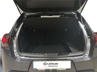Lexus UX  300h + 4x2