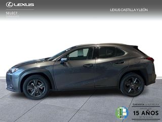Lexus UX  300h + 4x2