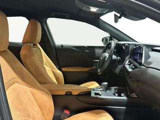 Lexus UX  300h + 4x2