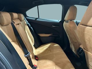Lexus UX  300h + 4x2