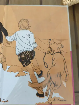 Los cinco edición antigua